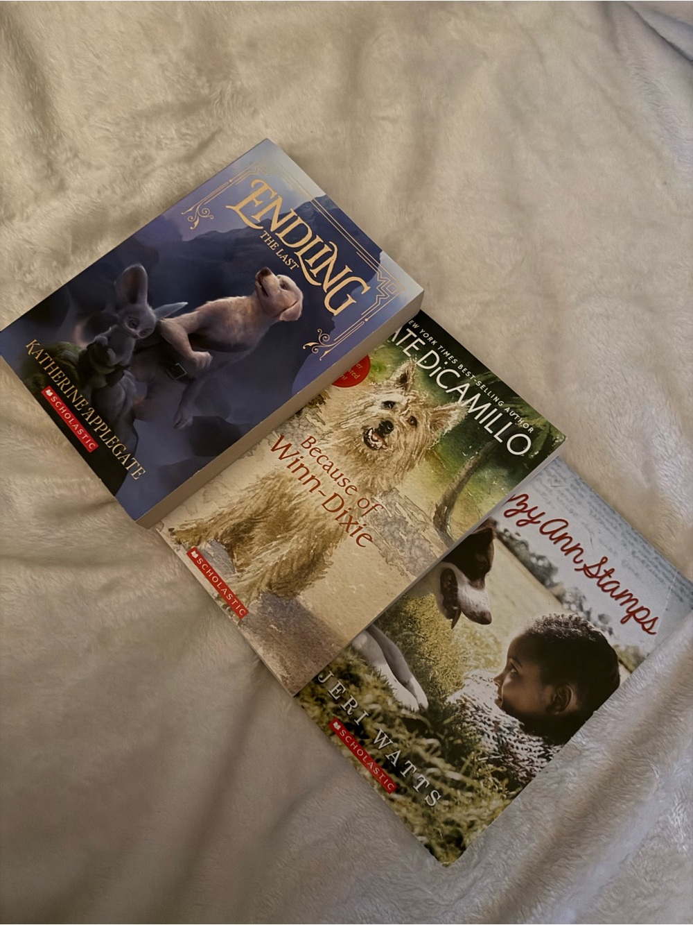 📚SET OF 3 SCHOLASTIC CHAPTER BOOKS